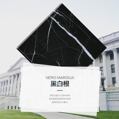 黑白根实拍图 1