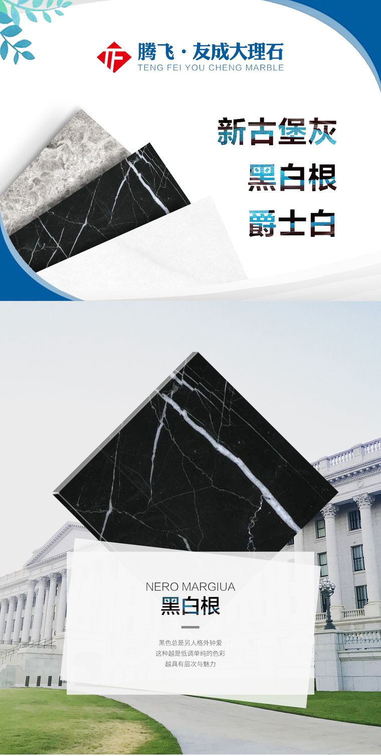 黑白根实拍图 2