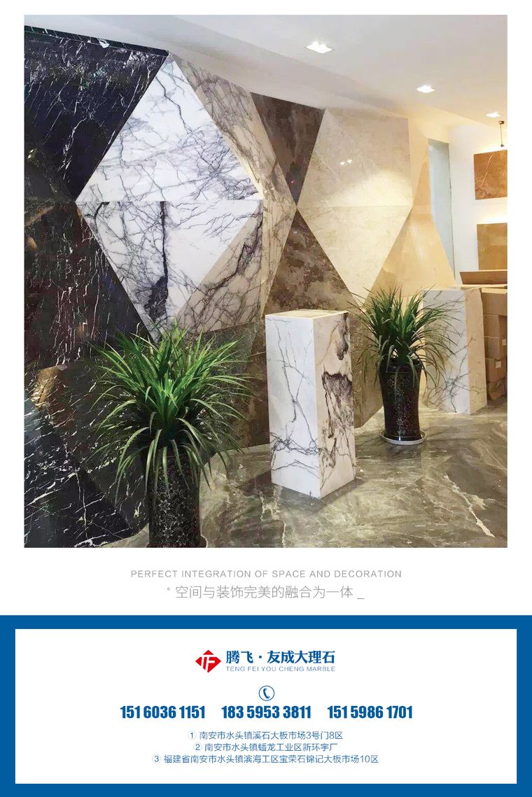 黑白根实拍图 5