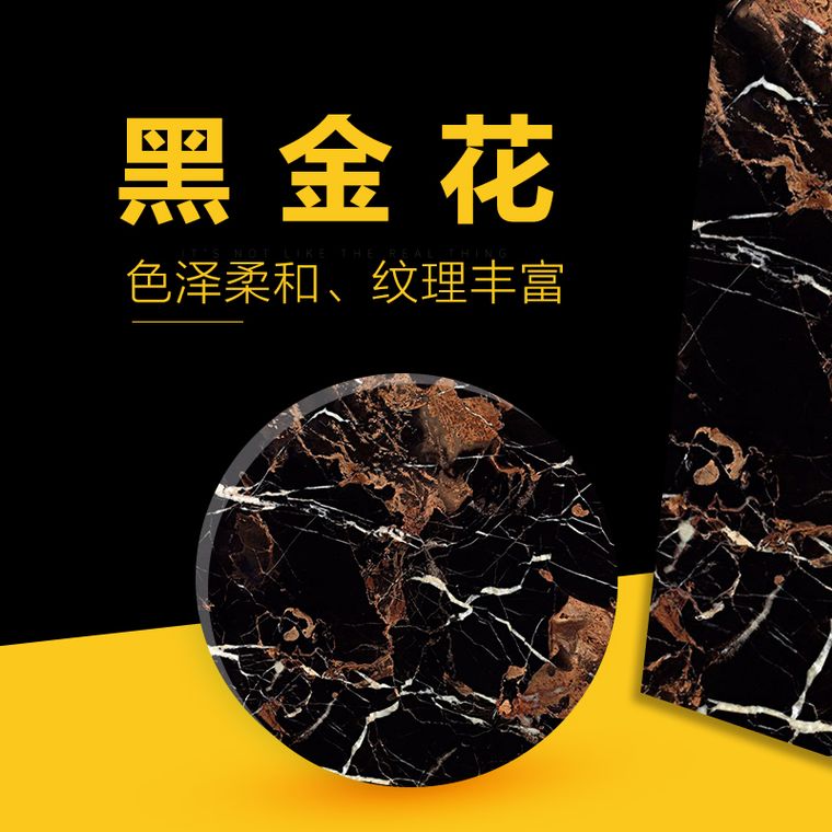 黑金花实拍图 1