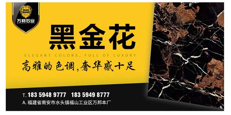 黑金花实拍图 4