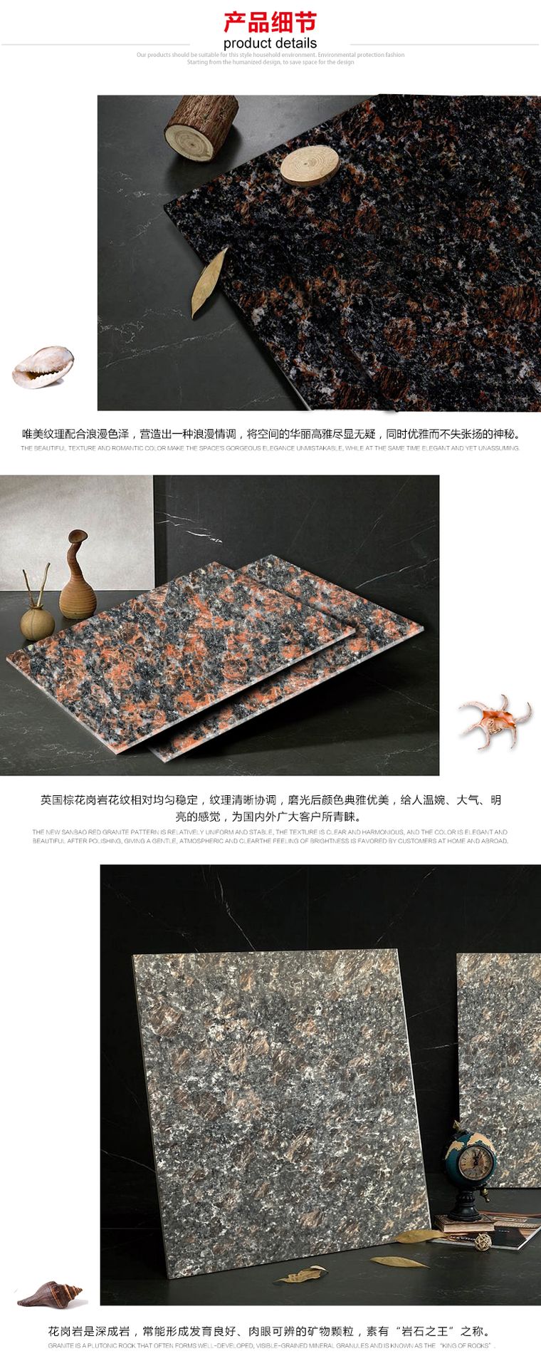 英国棕实拍图 3