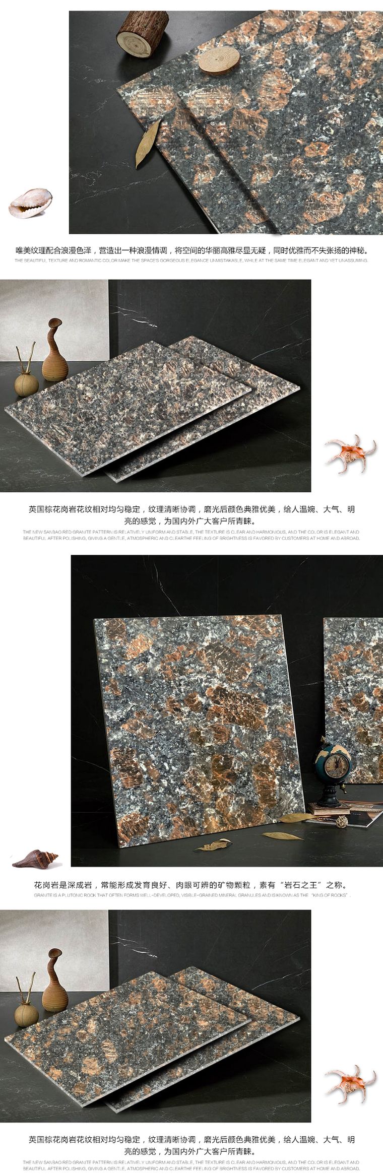 英国棕实拍图 4