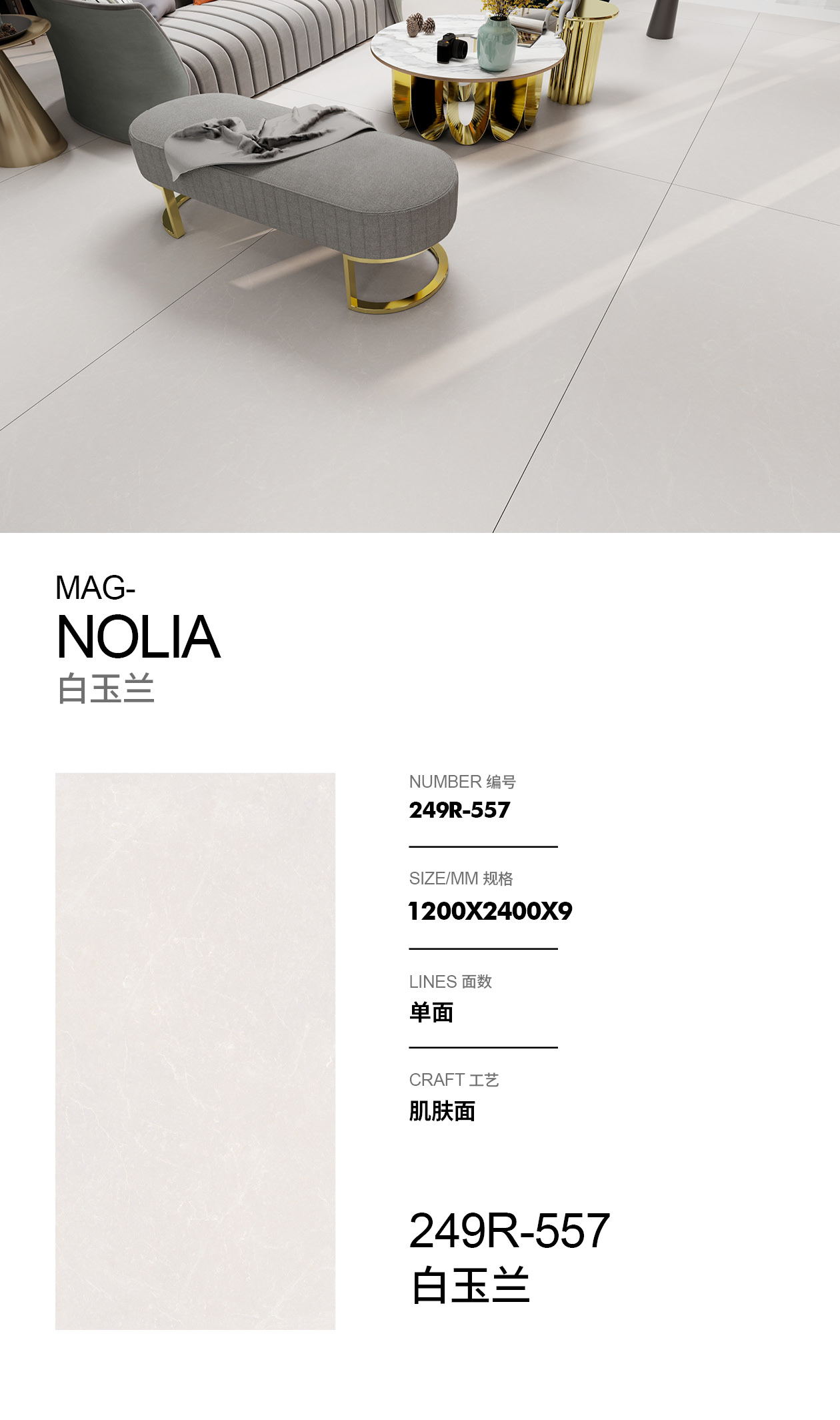 白玉兰.jpg 白玉兰.jpg