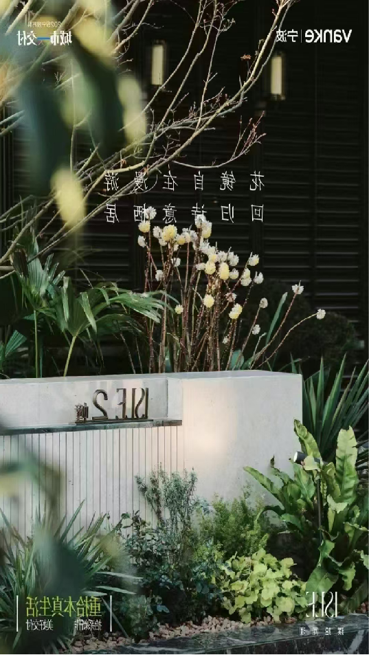 图片42.png