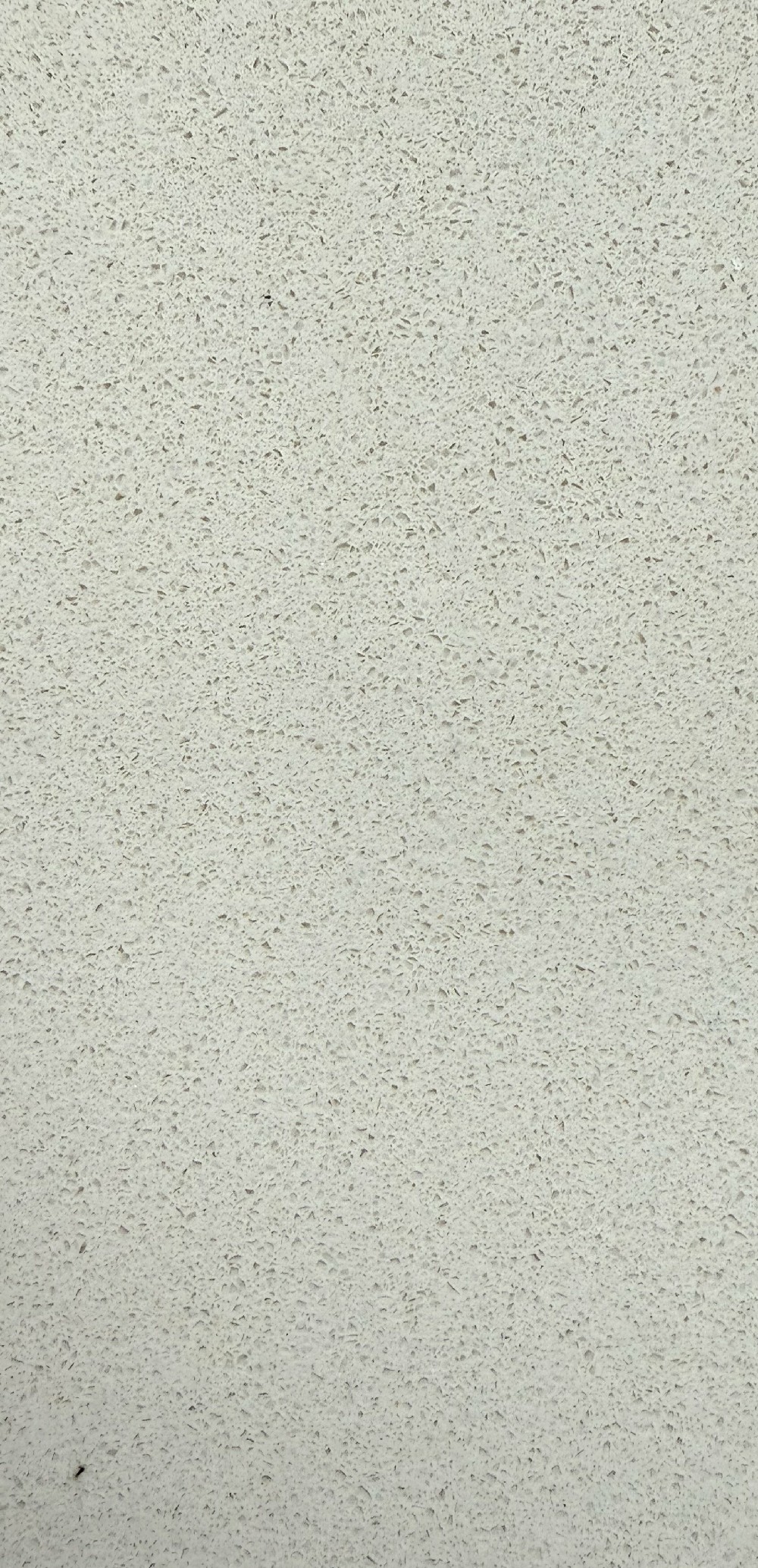细颗粒8-81810.jpg