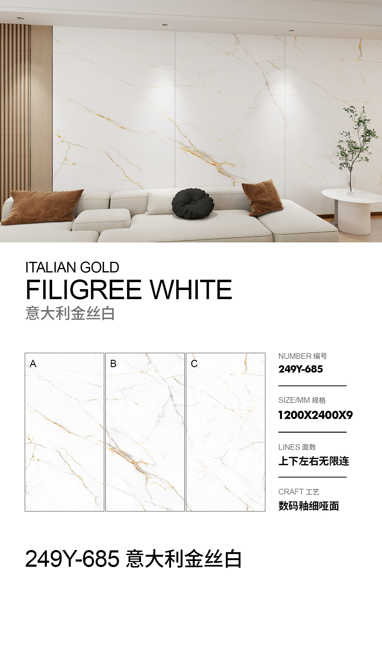 意大利金丝白.jpg