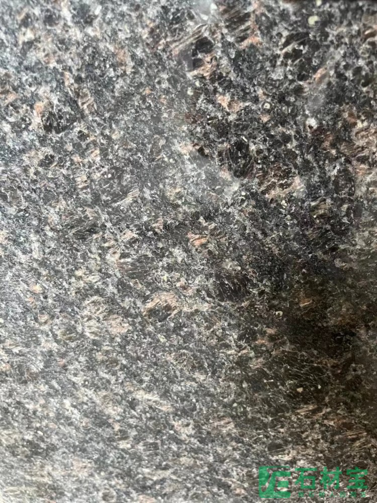 黑棕.jpg