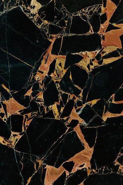黑金花.jpg