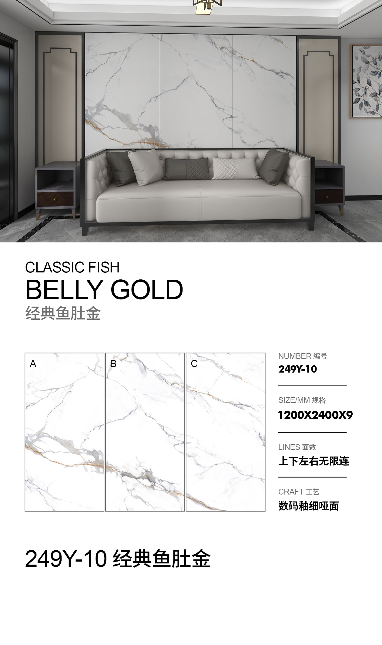 经典鱼肚金.jpg