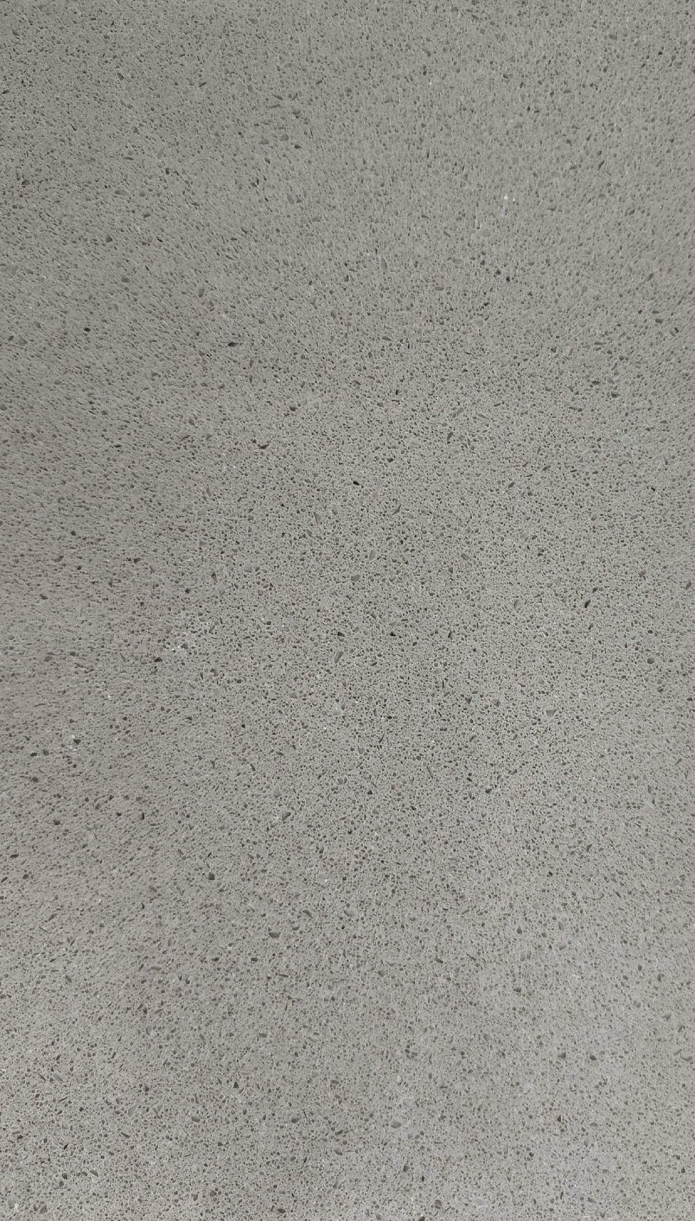 细颗粒8-1763.jpg