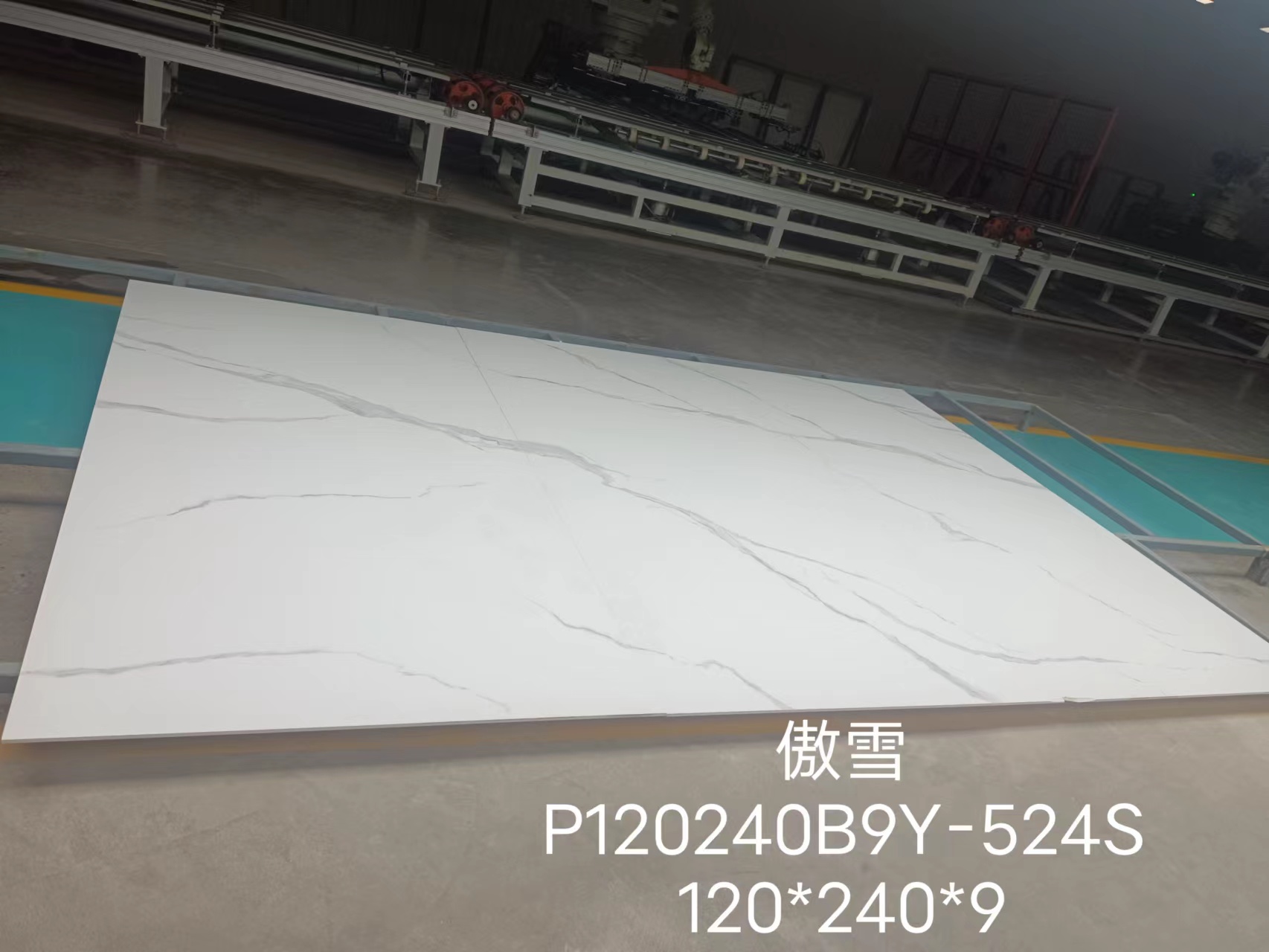 傲雪2.jpg 傲雪2.jpg